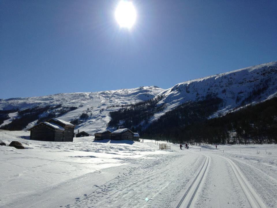 Lemonsjoen-Jotunheimen-Besseggen Villa Stuttgongfossen Buitenkant foto