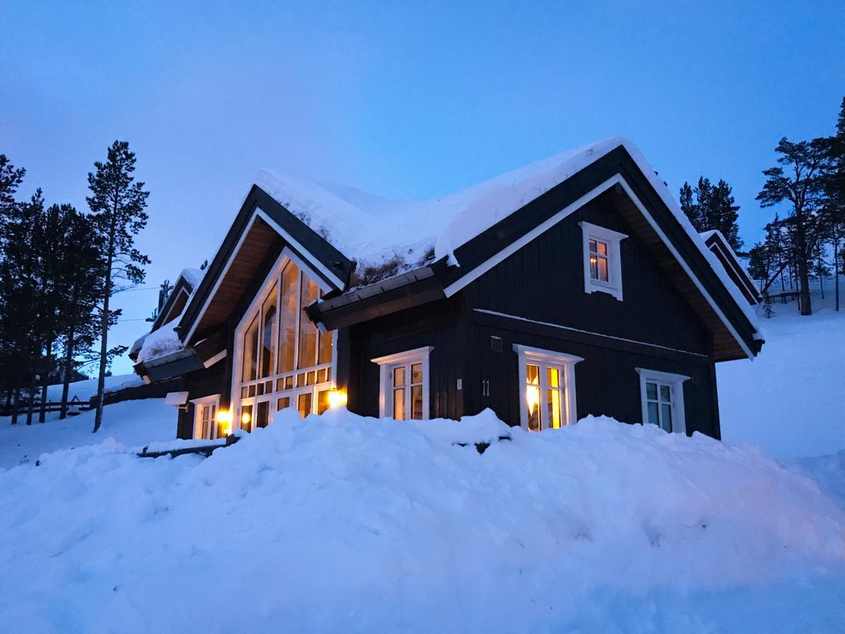 Lemonsjoen-Jotunheimen-Besseggen Villa Stuttgongfossen Buitenkant foto